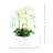 Joellen Artificial Orchid Arrangement