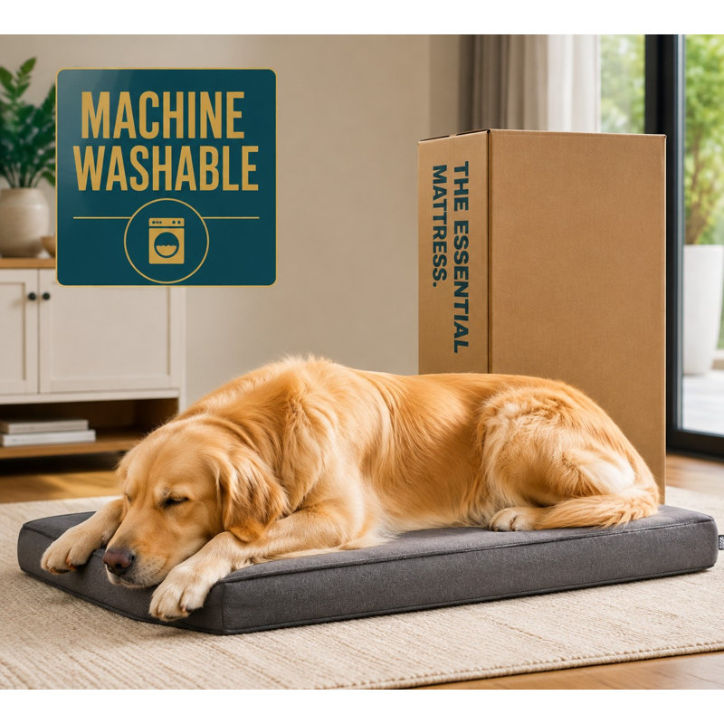 Conçu pour les grands chiens, ce lit orthopédique gris en mousse à mémoire de forme allie confort, durabilité et facilité d'entretien (lavable à la machine).