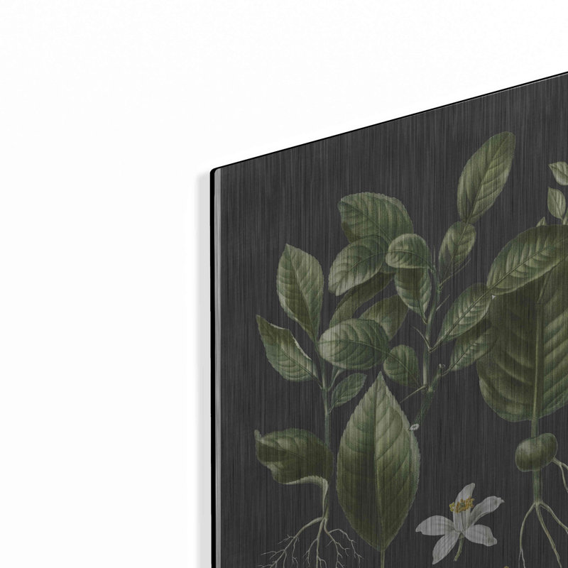 «Citrus Botanical» par lettré et doublé, H 16 po x l 12 po