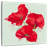 Harnek Crimson Poppies
