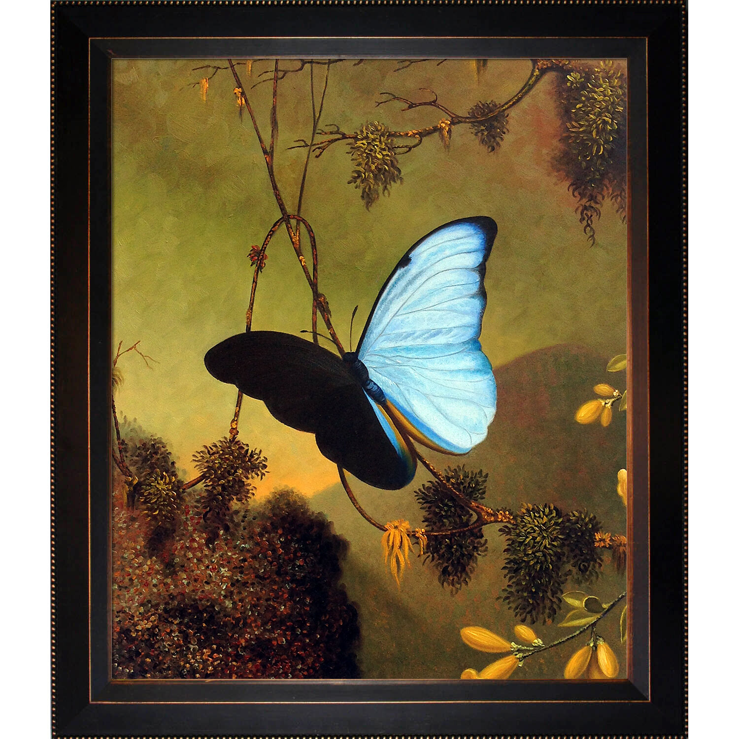 martin johnson heade butterfly