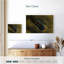 Vers plat de Linda-495085373