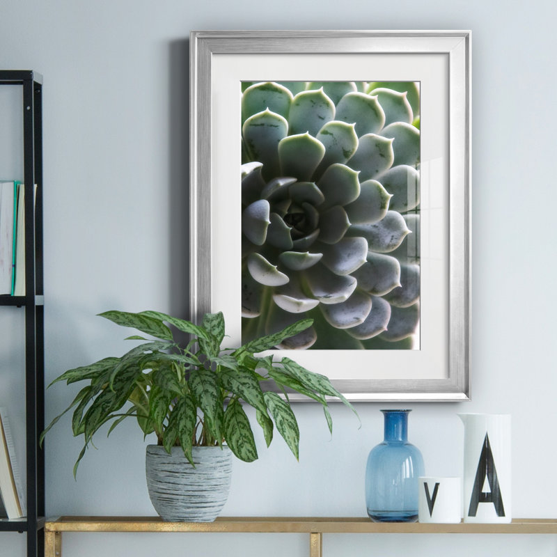 «Zen Succulent I» par Irene Weisz - reproduction de photo sur papier encadrée, H 18,5 po x l 24,5 po x P 1,5 po