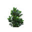Plante artificielle