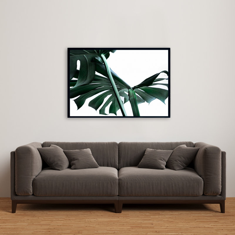 " Monstera Deliciosa "