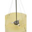 Greenbriar Oak 3 - Light Pendant