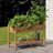 Avreet Elevated Planter-1387623102