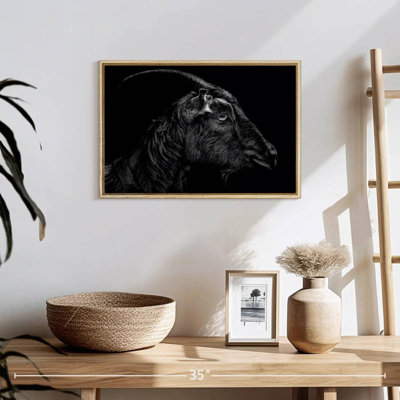 Monochrome Horned Goat