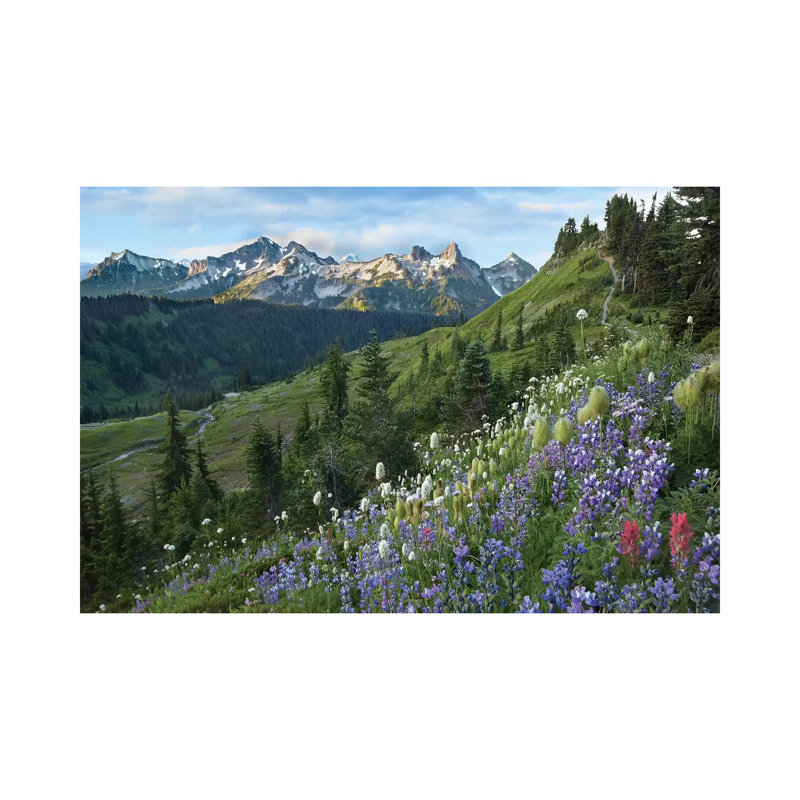 Wildflowers And Tatoosh Range, Mount Rainier National Park, Washington by Tim Fitzharris - Wrapped Canvas Print