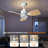 Gupta 32'' Ceiling Fan with LED Lights