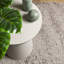 Brooten Solid Colour Area Rug-1679643160