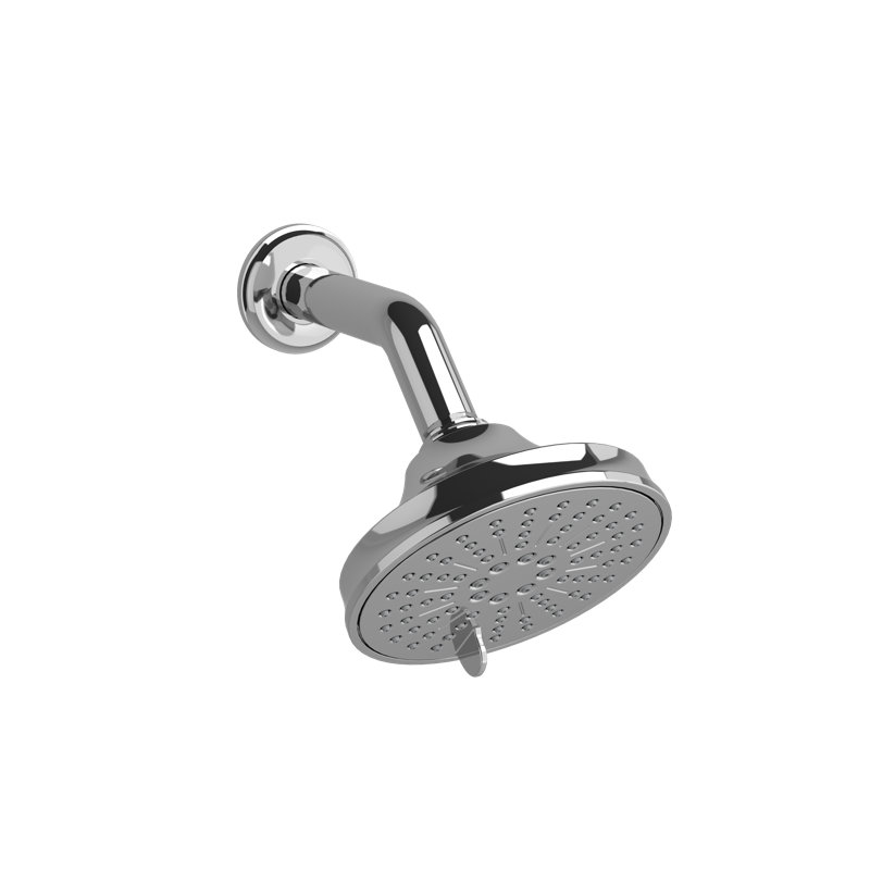 Multi Function Showerhead with Arm, Chrome