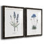 Lavande - ensemble de 2 reproductions d'impressions-484035940-484035728-467967548