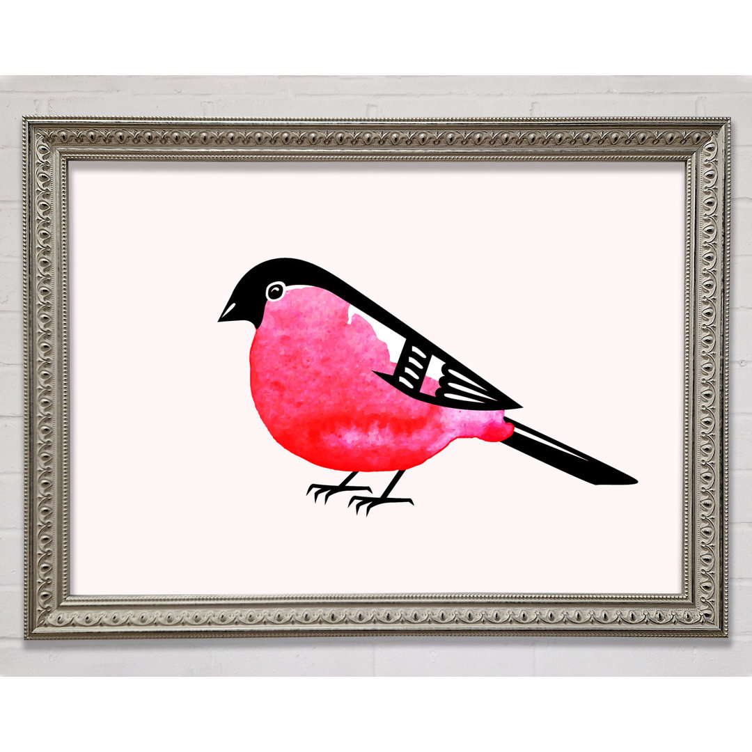 Gerahmtes Bild Pink Robin Breast