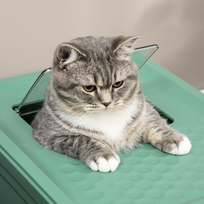 Litière pour chat - Tente portative, spacieuse et pliable, grande capacité