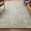 Artisan Power Loomed Wool/Nylon Oriental Area Rug in Light Blue/Tan/Black-589896434