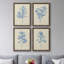 Verditer Fig I - ensemble de 4 reproductions d'art sur toile encadrées-278428341-278428336