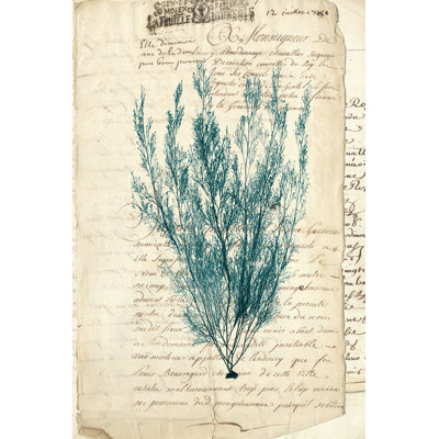 Algue rétro bleu sarcelle VII