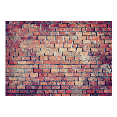 Dashanna Brick Wall Mural