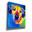«Dachshund - Maisie» par Dawg Painter-709930290