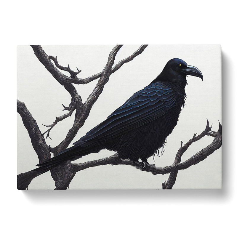 Eye Opening Raven Bird - Wrapped Canvas, 35cm H x 50cm W x 3cm D