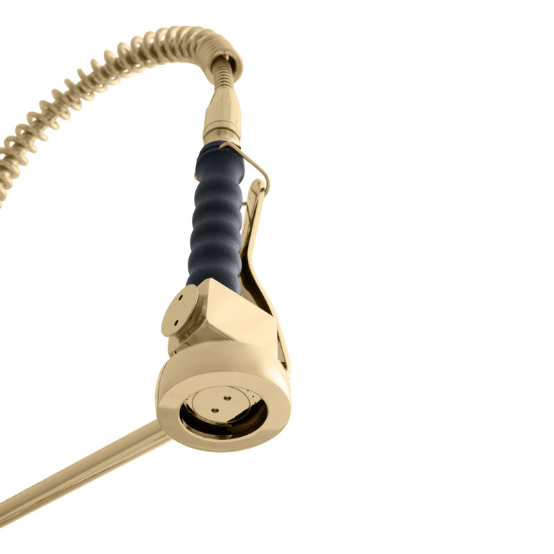 ZLINE Van Gogh Kitchen Faucet, Polished Gold