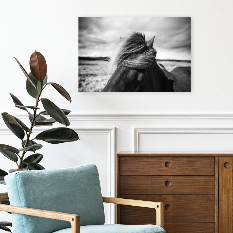 Windswept Horse Mane Dramatic Rustic Abstract Horse Nature Landscape Wall Art Print 1 Piece Wrapped Canvas Wall Art