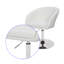 Nisbet Swivel Adjustable Height Stool-32386613