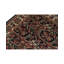 Jahan Wool Oriental Area Rug