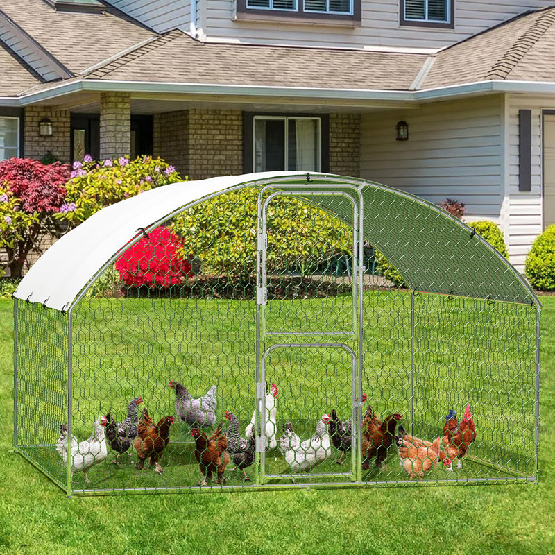 6m² Chicken Coop