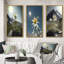 «Blossoming Edelweiss Flower Under Sun», 3 pièces-1104884681-1104884695