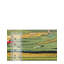 Tapis Canopes Taresha-1708619338
