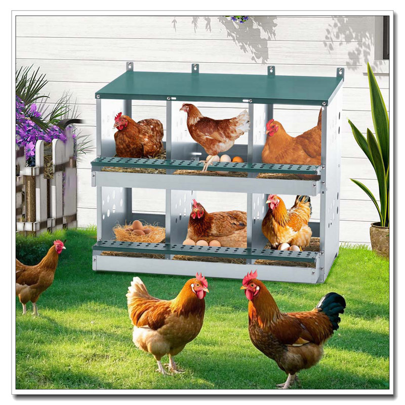 Boîte de nidification à 6 compartiments pour poules pondeuses, boîtes de poules roulantes, vert