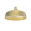 Pomme de douche 8 po Levantine, laiton brossé-121869658