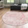 Boyland Oriental Indoor Rug