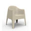 Solid Chair (Indoor/Outdoor)-49043687