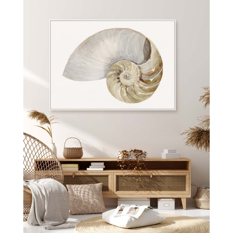 Sea Shell 7 Print, 28" H x 40" W, Wrapped Canvas