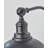 Petal Steel Armed Sconce