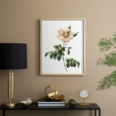 Botanical Beauty II Framed Print - Solid Wood