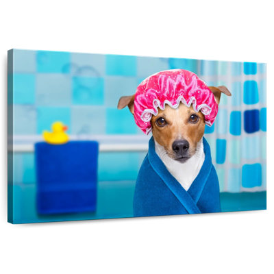 Ketti Terrier dans un bonnet de douche