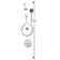 Sentinel Mark II Thermostatic and Pressure-Balanced Shower Faucet