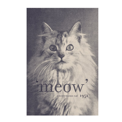 Famous Quotes (Cat) by Florent Bodart - No Frame Print on Canvas
