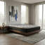 Memory Foam Mattress-102121183