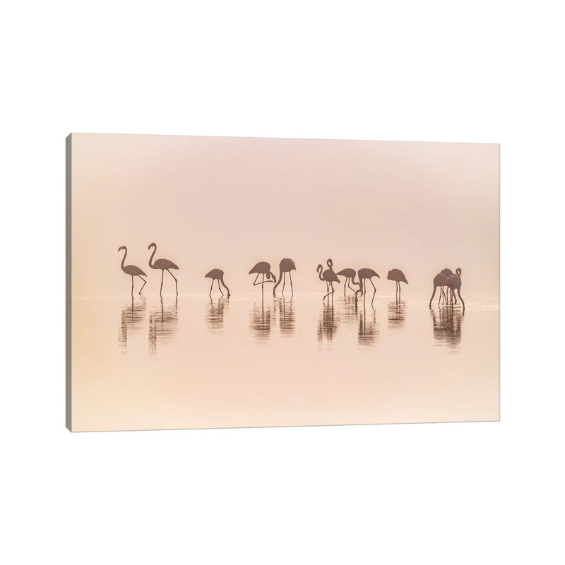 Flamingos In The Mist by Jeffrey C. Sink - Wrapped Canvas Print, 20.32cm H x 30.48cm W x 1.91cm D