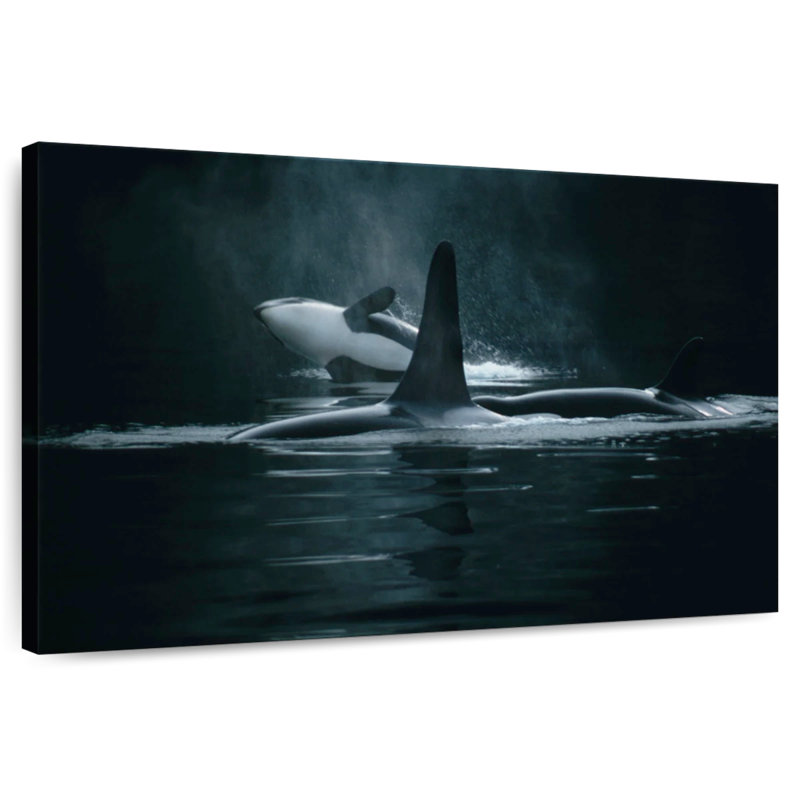 Brampt Swimming Orca Whales, 16" H x 24" W