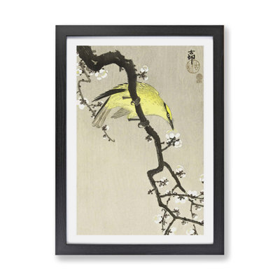 Chinese Oriole Bird On A Plum Blossom by Ohara Koson - Single Picture Frame Painting