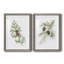 Winter Botanical III - ensemble de 2 reproductions d'art-1084665594-1084665357-1084665370
