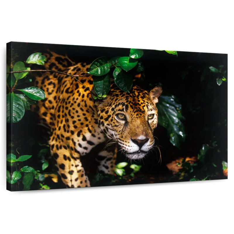Rainforest Jaguar, 20" H x 30" W