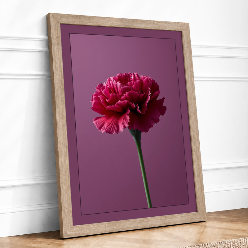 Magenta Carnation Study Botanical - Framed Print, A4 - 29.7 x 21.0 cm, Oak
