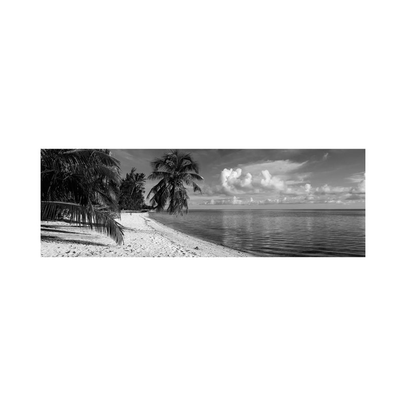 Palm Trees On The Beach, Matira Beach, Bora Bora, French Polynesia by Panoramic Images - Wrapped Canvas Panoramic Print